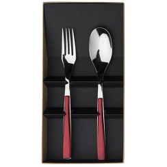 gift box of 2 pieces cutlery serving set