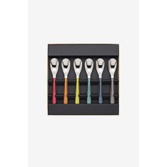 gift box of 6 coffee spoons