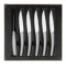 gift box of 6 steak knives serrated