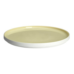 round dinner plate 24 cm