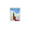rectangular shared plate 16x12 cm decor bell tower