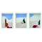 Set of 3 mini dishes 16 x 12 cm - L 16 cm x l 12 cm