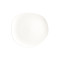 Flat Plate 29 cm