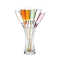 Champagne Flute Set