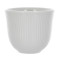 150ml Embossed Tasting Cup (White)