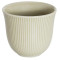 250ml Embossed Tasting Cup (Taupe)