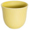250ml Embossed Tasting Cup (Sand)