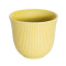 150ml Embossed Tasting Cup (Sand)