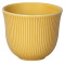 250ml Embossed Tasting Cup (Yellow)