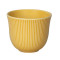 150ml Embossed Tasting Cup (Yellow)