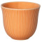 250ml Embossed Tasting Cup (Orange)