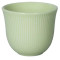 250ml Embossed Tasting Cup (Green)