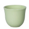 150ml Embossed Tasting Cup (Green)