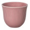 250ml Embossed Tasting Cup (Dusty Pink)