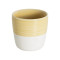 150ml Flat White Cup (Yellow)