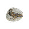 Mesopotamia Pajaro Vago Flat Plate 19 cm